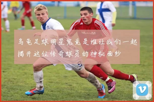 乌龟足球明星究竟是谁让我们一起揭开这位传奇球员的神秘面纱