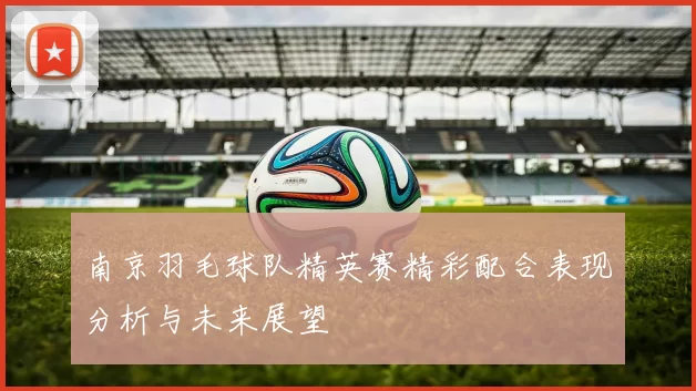 南京羽毛球队精英赛精彩配合表现分析与未来展望