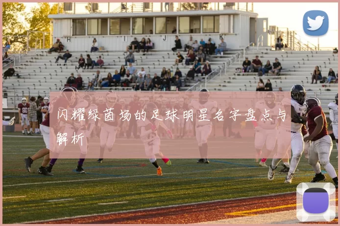 闪耀绿茵场的足球明星名字盘点与解析