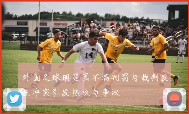 外国足球明星因不满判罚与裁判发生冲突引发热议与争议