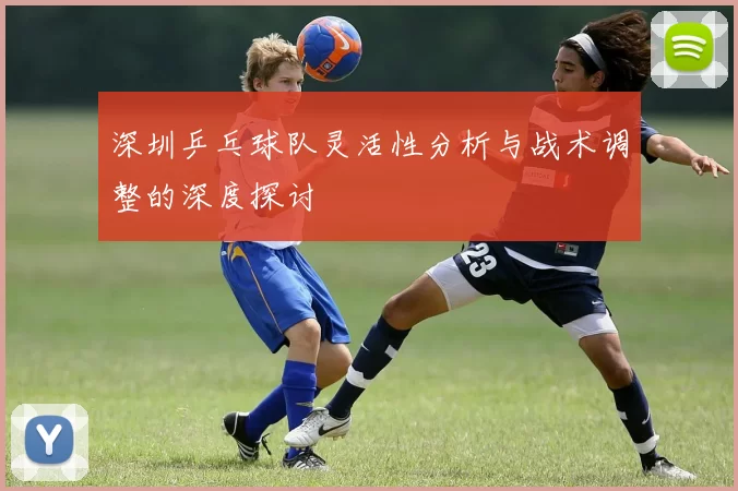 深圳乒乓球队灵活性分析与战术调整的深度探讨