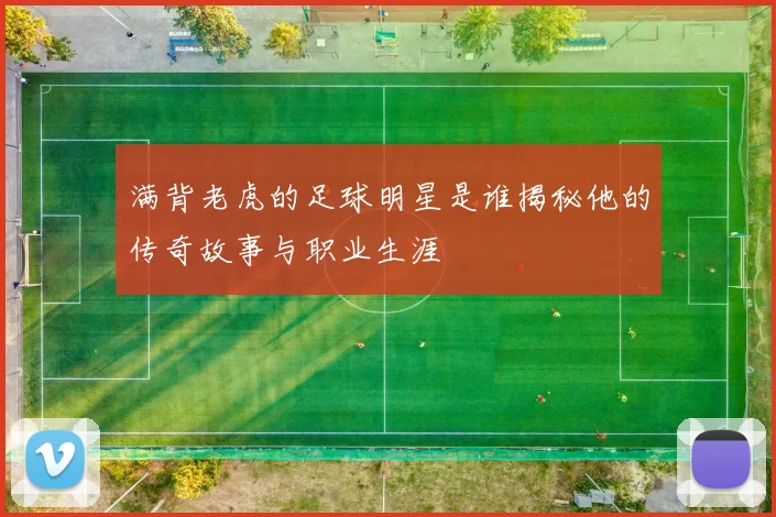 满背老虎的足球明星是谁揭秘他的传奇故事与职业生涯