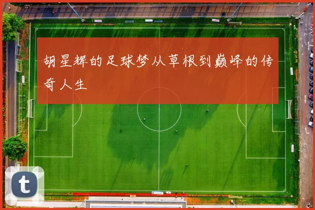 胡星辉的足球梦从草根到巅峰的传奇人生