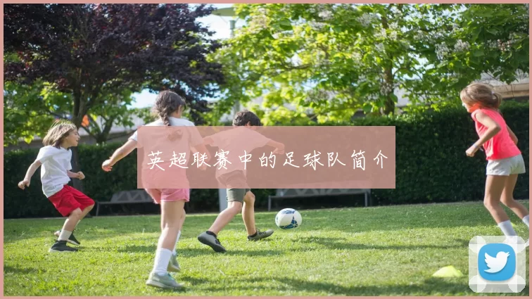 英超联赛中的足球队简介