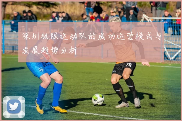 深圳极限运动队的成功运营模式与发展趋势分析