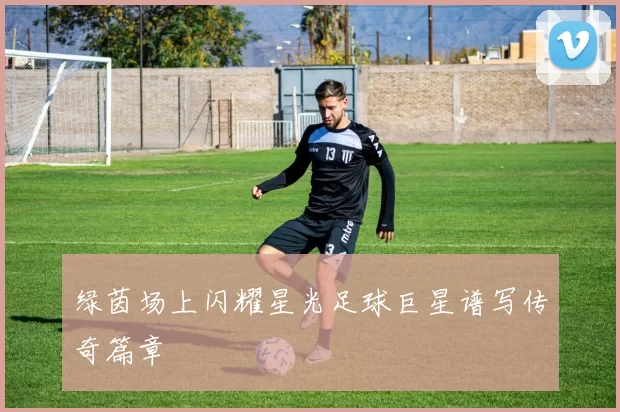 绿茵场上闪耀星光足球巨星谱写传奇篇章