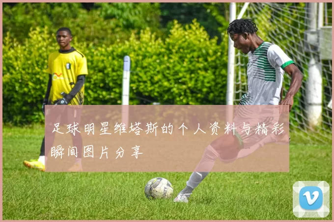 足球明星维塔斯的个人资料与精彩瞬间图片分享