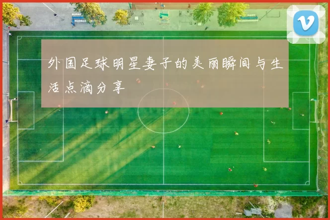 外国足球明星妻子的美丽瞬间与生活点滴分享