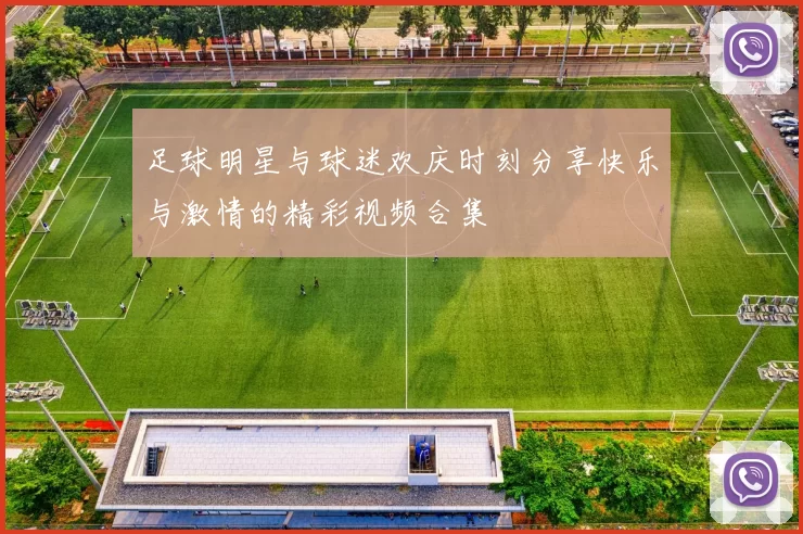 足球明星与球迷欢庆时刻分享快乐与激情的精彩视频合集