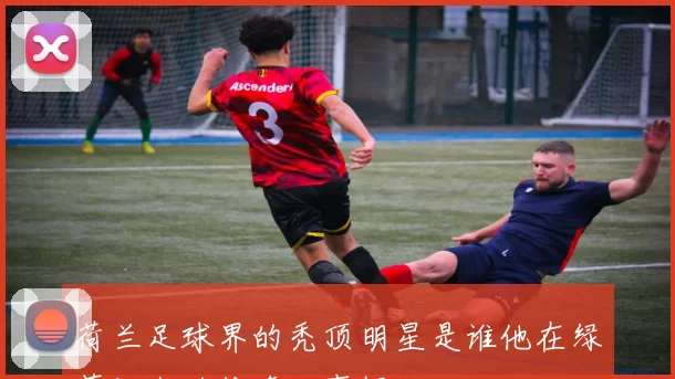 荷兰足球界的秃顶明星是谁他在绿茵场上的传奇故事揭秘