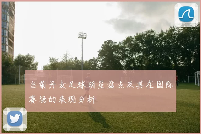 当前丹麦足球明星盘点及其在国际赛场的表现分析