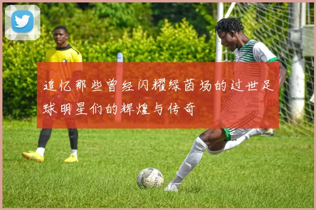 追忆那些曾经闪耀绿茵场的过世足球明星们的辉煌与传奇